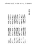 STRESS TOLERANCE IN PLANTS diagram and image