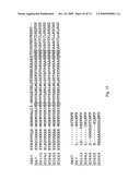 STRESS TOLERANCE IN PLANTS diagram and image