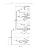 STRESS TOLERANCE IN PLANTS diagram and image