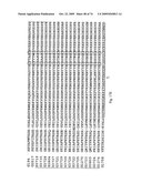 STRESS TOLERANCE IN PLANTS diagram and image