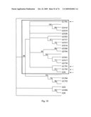 STRESS TOLERANCE IN PLANTS diagram and image