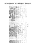 STRESS TOLERANCE IN PLANTS diagram and image