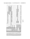 STRESS TOLERANCE IN PLANTS diagram and image