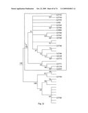 STRESS TOLERANCE IN PLANTS diagram and image