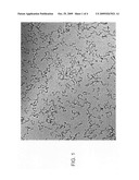 Colloidal silica for semiconductor wafer polishing and production method thereof diagram and image