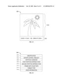 CONTROLLER AND DRIVER FEATURES FOR BI-STABLE DISPLAY diagram and image