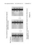 Multi-Stripe Laser Diode Desings Which Exhibit a High Degree of Manufacturability diagram and image