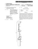 FLUID COLLECTION DEVICE WITH EXPRESSER PLUG HOLDER diagram and image