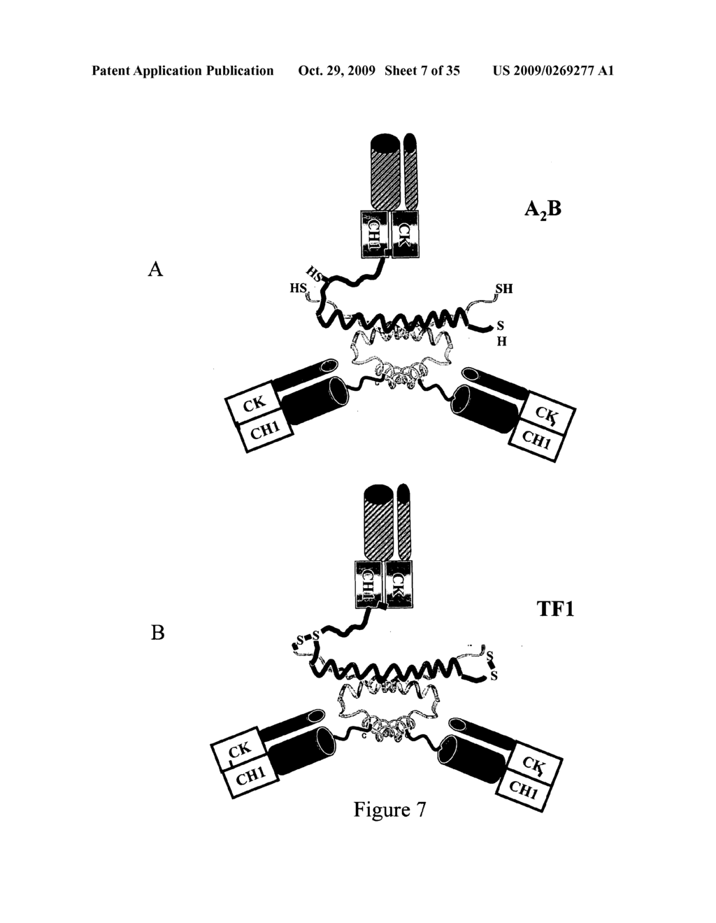 Multivalent Immunoglobulin-Based Bioactive Assemblies - diagram, schematic, and image 08