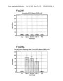 Diagnostic And Therapeutic Epitope, And Transgenic Plant diagram and image