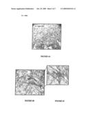 METHOD FOR OBTAINING HUMAN SMOOTH MUSCULAR CELLS AND USES THEREOF diagram and image