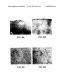 Methods for Using a Three-Dimensional Stromal Tissue to Promote Angiogenesis diagram and image