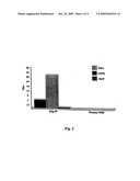 ARPE-19 as a Platform Cell Line for Encapsulated Cell-Based Delivery diagram and image