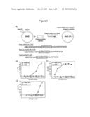 Method for Controlling Immunodominance diagram and image