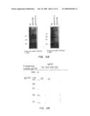 PSEUDOMONAS EXOTOXIN A-LIKE CHIMERIC IMMUNOGENS diagram and image