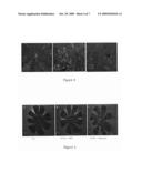 Inhibition of Neovascularization by Cerium Oxide Nanoparticles diagram and image