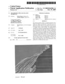 Multimicrolamellar Collagen Membranes diagram and image