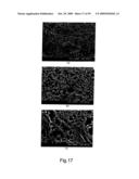 ION CONDUCTING POLYMER MEMBRANES diagram and image