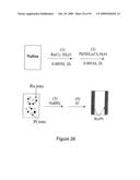 ION CONDUCTING POLYMER MEMBRANES diagram and image