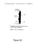 ION CONDUCTING POLYMER MEMBRANES diagram and image