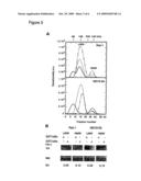 IDENTIFICATION OF SUBSTANCES THAT INHIBIT NEMO OLIGOMERIZATION diagram and image