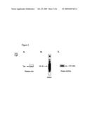 IDENTIFICATION OF SUBSTANCES THAT INHIBIT NEMO OLIGOMERIZATION diagram and image