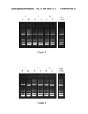 ENRICHMENT METHODS FOR THE DETECTION OF PATHOGENS AND OTHER MICROBES diagram and image