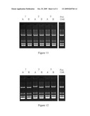 ENRICHMENT METHODS FOR THE DETECTION OF PATHOGENS AND OTHER MICROBES diagram and image