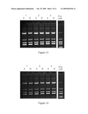 ENRICHMENT METHODS FOR THE DETECTION OF PATHOGENS AND OTHER MICROBES diagram and image