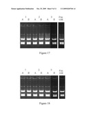 ENRICHMENT METHODS FOR THE DETECTION OF PATHOGENS AND OTHER MICROBES diagram and image