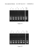 ENRICHMENT METHODS FOR THE DETECTION OF PATHOGENS AND OTHER MICROBES diagram and image