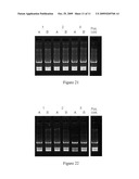 ENRICHMENT METHODS FOR THE DETECTION OF PATHOGENS AND OTHER MICROBES diagram and image