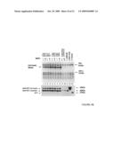 Compositions and Methods for the Expression of Selenoproteins in Eukaryotic Cells diagram and image