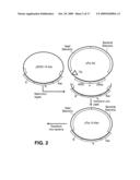 System for capturing and modifying large pieces of genomic DNA and constructing organisms with synthetic chloroplasts diagram and image