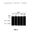 System for capturing and modifying large pieces of genomic DNA and constructing organisms with synthetic chloroplasts diagram and image