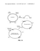 System for capturing and modifying large pieces of genomic DNA and constructing organisms with synthetic chloroplasts diagram and image