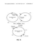 System for capturing and modifying large pieces of genomic DNA and constructing organisms with synthetic chloroplasts diagram and image