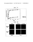 Mutant Paramyxovirus and Method for Production Thereof diagram and image