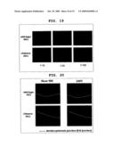 Mutant Paramyxovirus and Method for Production Thereof diagram and image