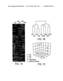 Molecular Characteristics of Non-Small Cell Lung Cancer diagram and image