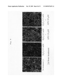 Prophylactic/therapeutic agent for alzheimer s disease diagram and image