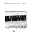 NUCLEIC ACID BINDING SUBSTANCE CONTAINING CATALYTIC NUCLEATION NANOPARTICLES diagram and image