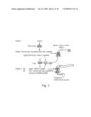 ORDERING GENES BY ANALYSIS OF EXPRESSION KINETICS diagram and image