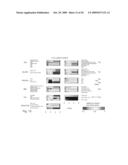 ORDERING GENES BY ANALYSIS OF EXPRESSION KINETICS diagram and image