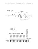 ABI1/HSSH3BP1 CONDITIONAL KNOCKOUT MOUSE diagram and image