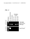 ABI1/HSSH3BP1 CONDITIONAL KNOCKOUT MOUSE diagram and image