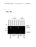 ABI1/HSSH3BP1 CONDITIONAL KNOCKOUT MOUSE diagram and image