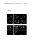 ABI1/HSSH3BP1 CONDITIONAL KNOCKOUT MOUSE diagram and image