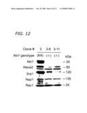 ABI1/HSSH3BP1 CONDITIONAL KNOCKOUT MOUSE diagram and image