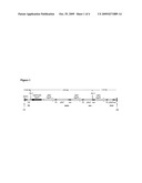 PRODUCTION OF POLYHYDROXYBUTYRATE IN SWITCHGRASS diagram and image